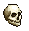 skull photo